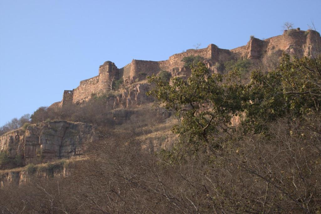 Green View Bed & Breakfast Sawai Madhopur Dış mekan fotoğraf