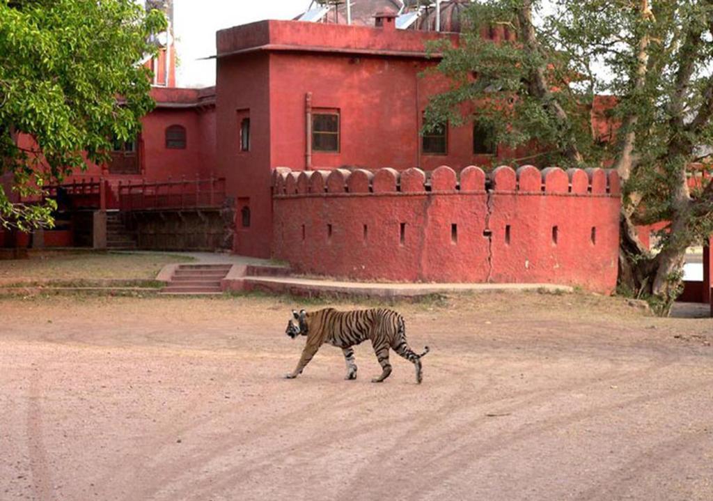 Green View Bed & Breakfast Sawai Madhopur Dış mekan fotoğraf